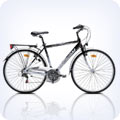 City Bike
